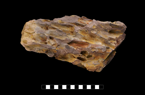 Roche argileuse avec cavités (Dragon stone)